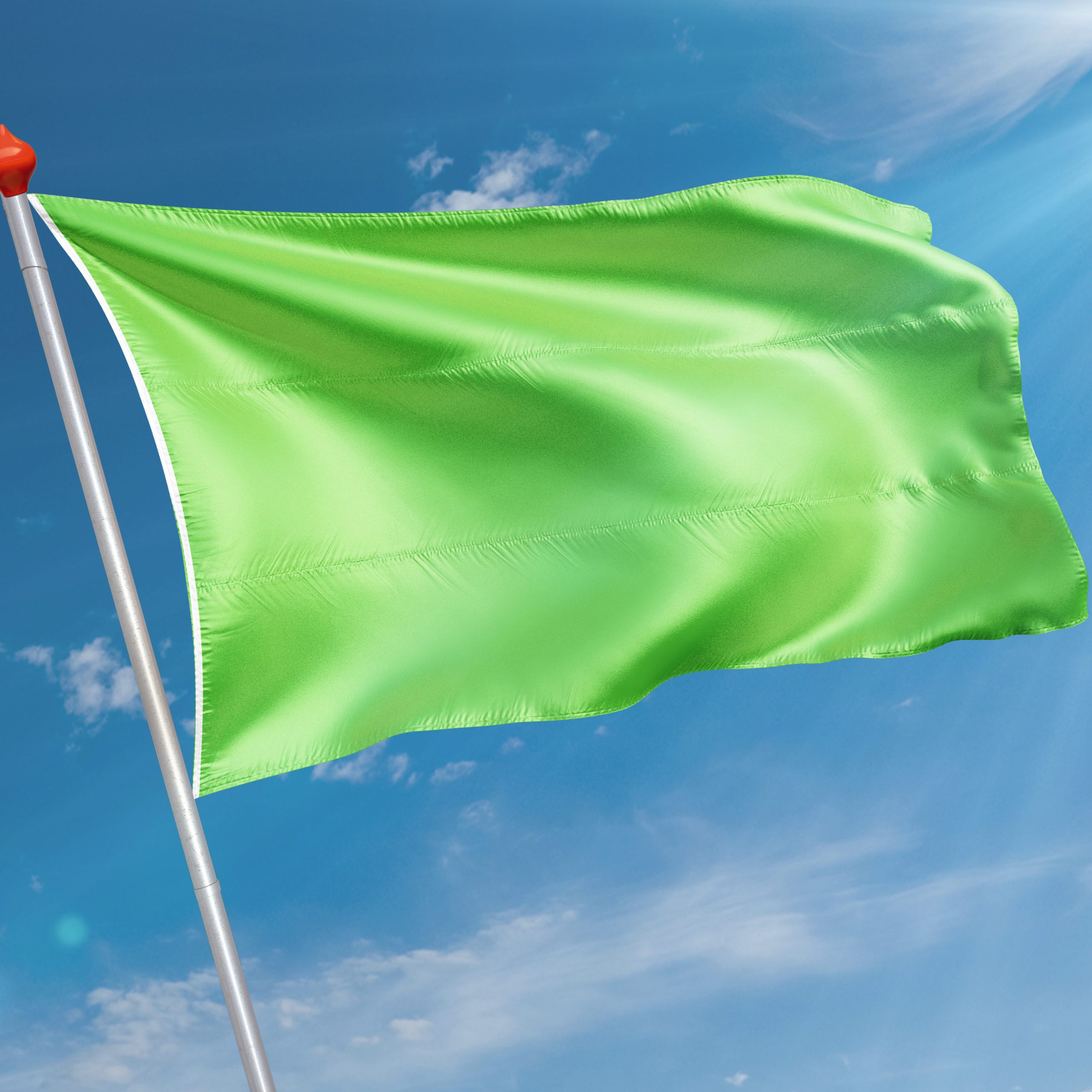 impliciet Verdampen gemak Effen vlag groen kopen? | Snelle levering & 8.7 klantbeoordeling | Vlaggen .com