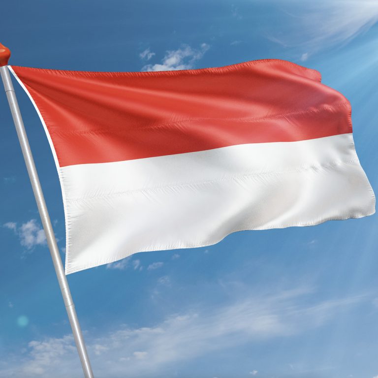 Vlag Indonesië Kopen Snelle Levering And 8 7 Klantbeoordeling